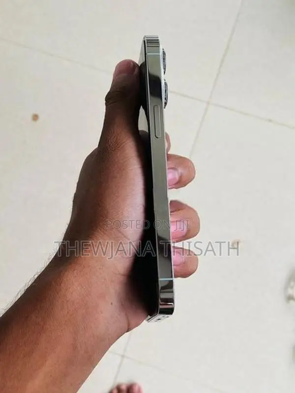 Apple iPhone 13 Pro 256GB (Used)