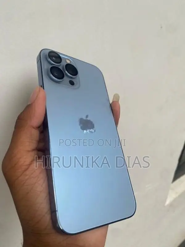 Apple iPhone 13 Pro Max 256GB (Used)