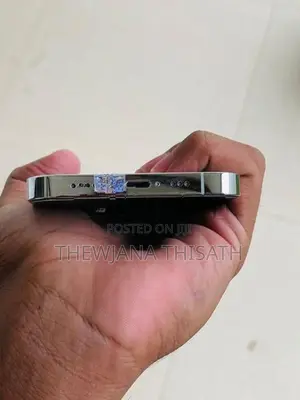 Apple iPhone 13 Pro 256GB (Used)