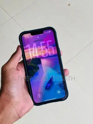 Apple iPhone 13 Pro 256GB (Used)