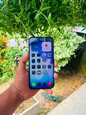 Apple iPhone 13 Pro Max (Used)