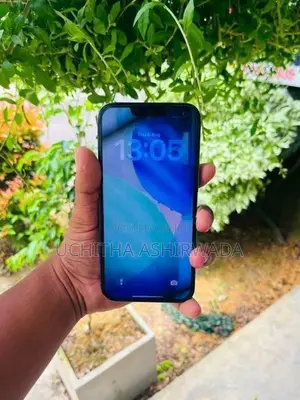 Apple iPhone 13 Pro Max (Used)
