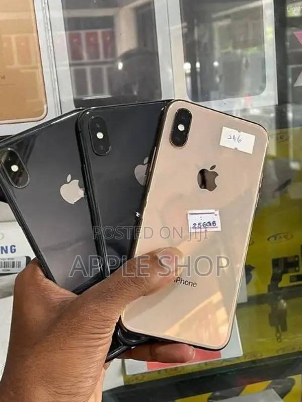 Apple iPhone XS 256GB (Used)
