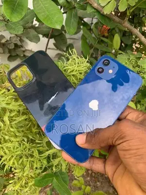 Apple iPhone 12 (Used)