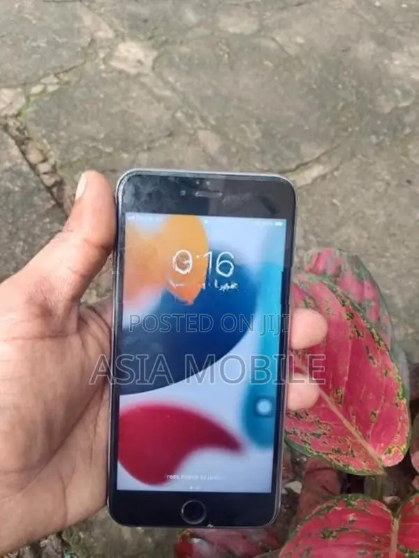 Apple iPhone 6S Plus (Used)