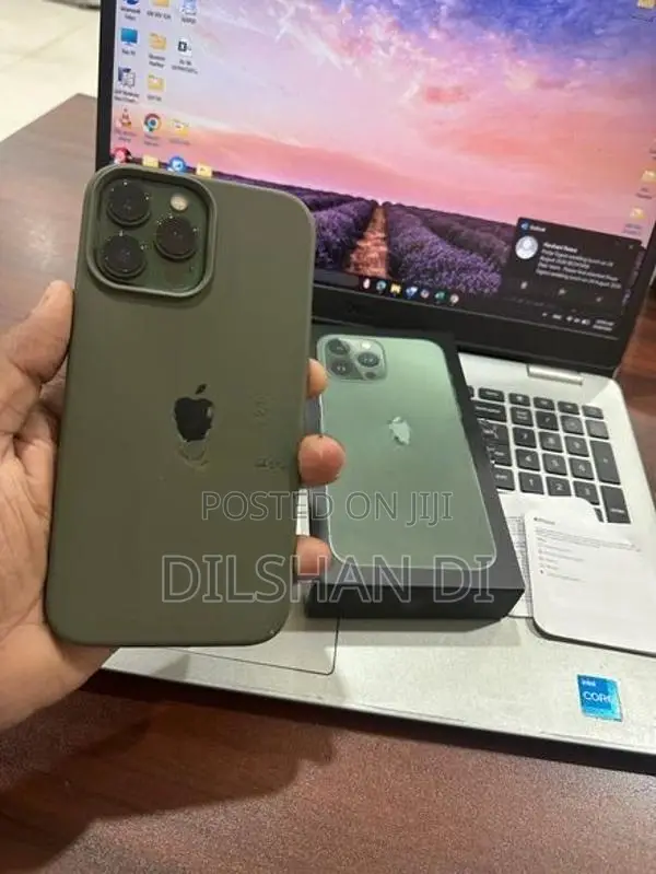 Apple iPhone 13 Pro Max 256 GB (Used)