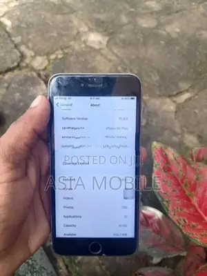 Apple iPhone 6S Plus (Used)
