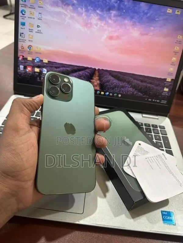 Apple iPhone 13 Pro Max 256 GB (Used)