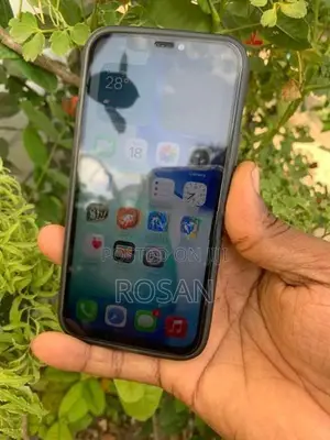 Apple iPhone 12 (Used)