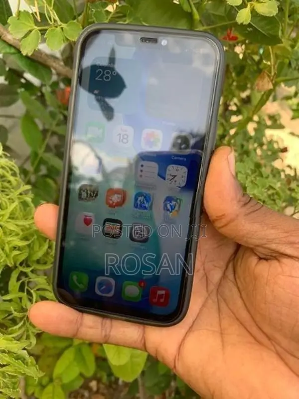 Apple iPhone 12 (Used)