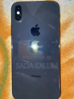 Apple iPhone XS 256GB (Used)