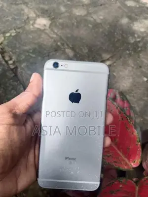 Apple iPhone 6S Plus (Used)