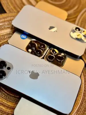 Apple iPhone 13 Pro Max 256GB (Used)