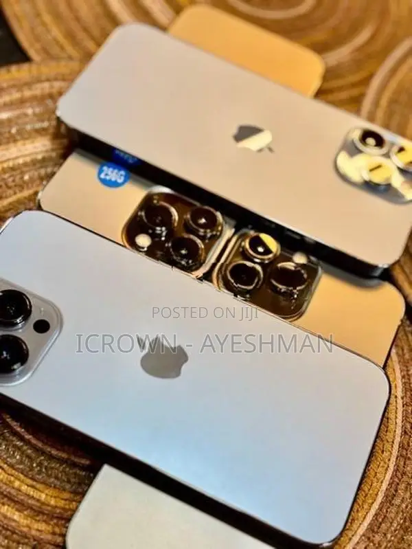 Apple iPhone 13 Pro Max 256GB (Used)