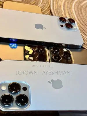 Apple iPhone 13 Pro Max 256GB (Used)