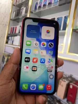 Apple iPhone 11 (Used)
