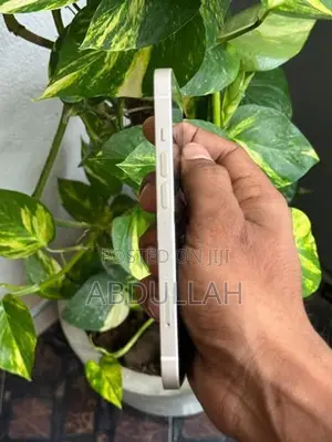 Apple iPhone 13 (Used)