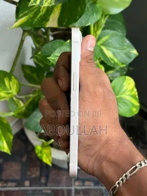 Apple iPhone 13 (Used)