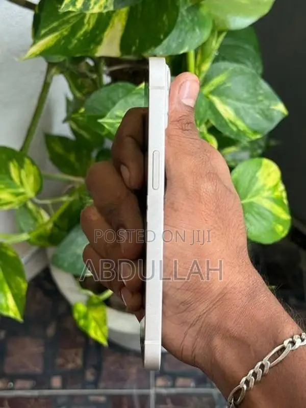 Apple iPhone 13 (Used)