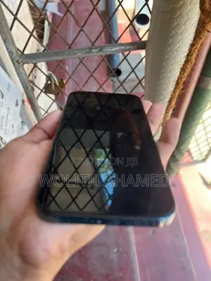 Apple iPhone 12 Pro Max (Used)