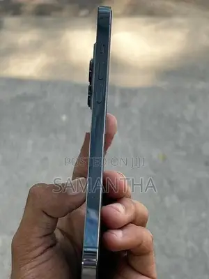 Apple iPhone 13 Pro Max 256GB (Used)