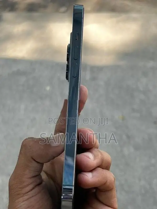 Apple iPhone 13 Pro Max 256GB (Used)