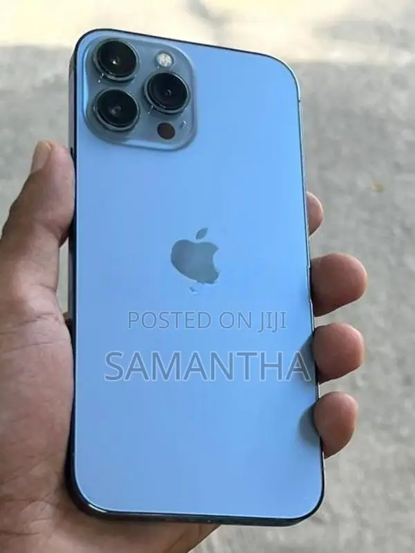 Apple iPhone 13 Pro Max 256GB (Used)