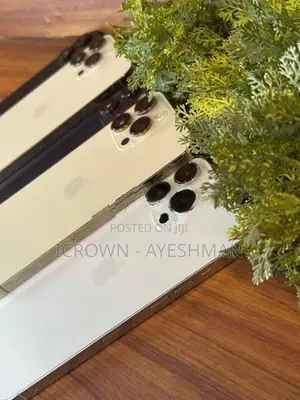Apple iPhone 14 Pro Max 256GB (Used)
