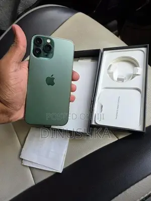 Apple iPhone 13 Pro Max (Used)