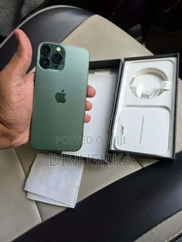 Apple iPhone 13 Pro Max (Used)