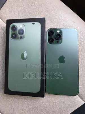 Apple iPhone 13 Pro Max (Used)