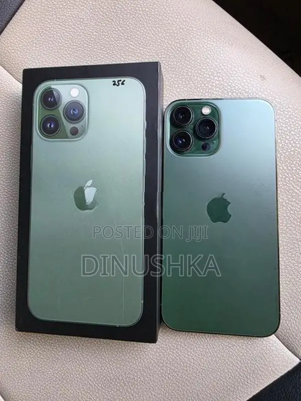 Apple iPhone 13 Pro Max (Used)