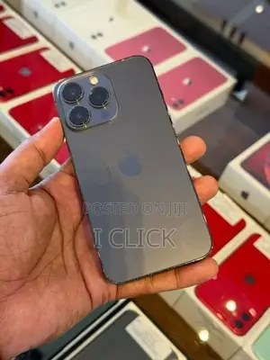 Apple iPhone 13 Pro 256GB (Used)