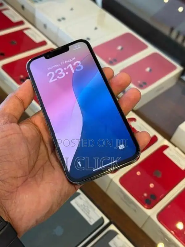 Apple iPhone 13 Pro 256GB (Used)