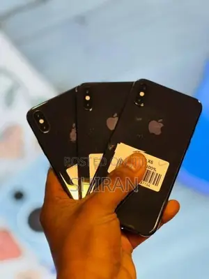 Apple iPhone XS 256GB (Used)