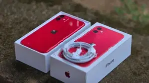 Apple iPhone 11 (Used)
