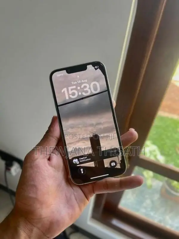 Apple iPhone 13 Pro 256 GB (Used)