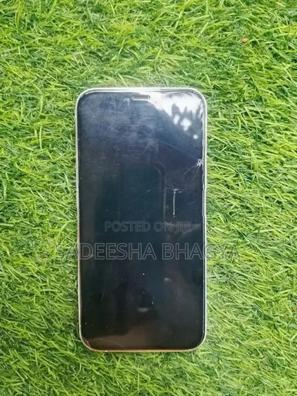 Apple iPhone 12 Pro (Used)