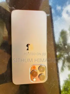 Apple iPhone 13 Pro Max 256Gb (Used)