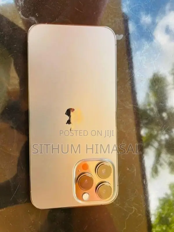 Apple iPhone 13 Pro Max 256Gb (Used)