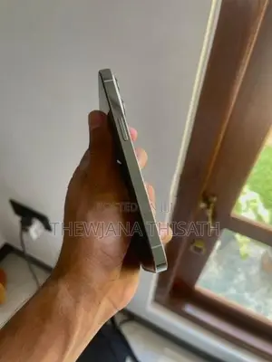 Apple iPhone 13 Pro 256 GB (Used)
