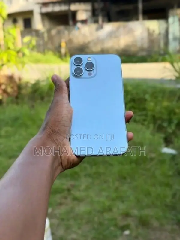 Apple iPhone 13 Pro Max (Used)