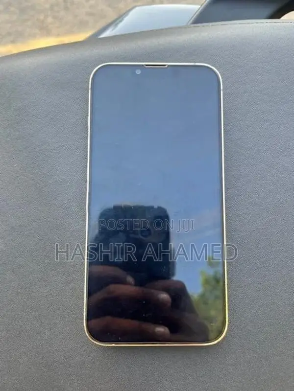 Apple iPhone 13 Pro (Used)