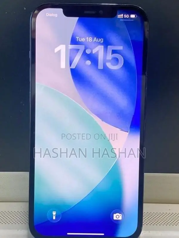 Apple iPhone 12 Pro Max 256GB (Used)