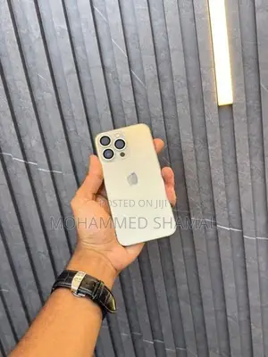 Apple iPhone 13 Pro 256GB (Used)