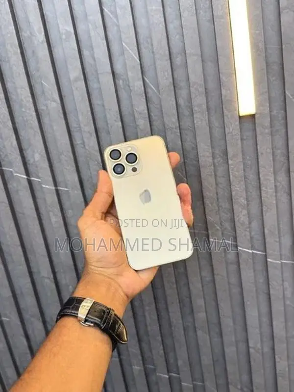 Apple iPhone 13 Pro 256GB (Used)