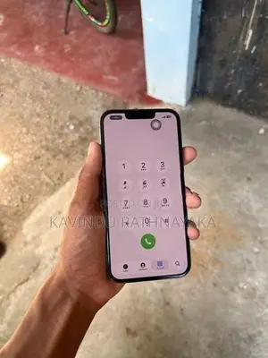 Apple iPhone 13 Pro (Used)