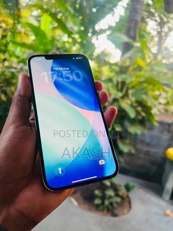 Apple iPhone 12 Pro Max 256GB (Used)