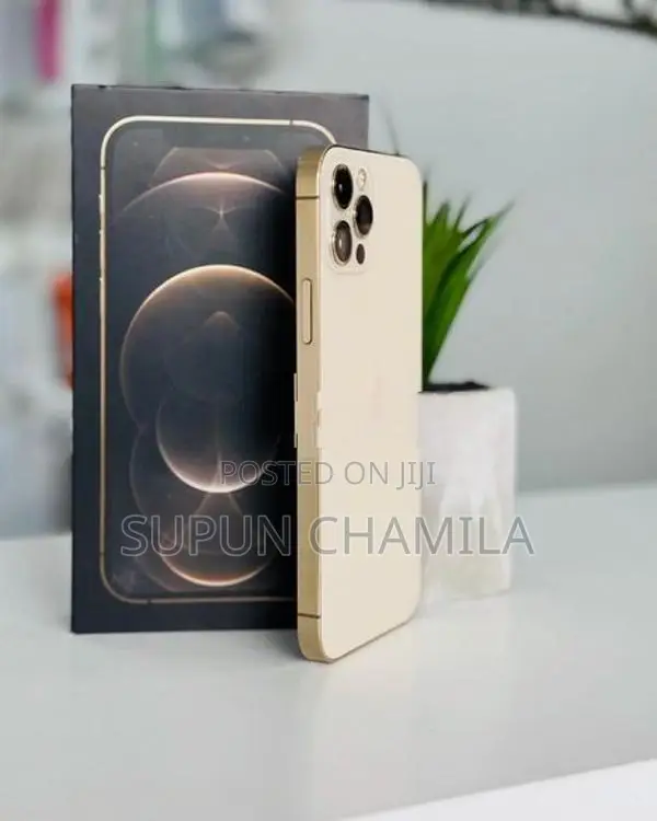 Apple iPhone 12 Pro 256GB (Used)
