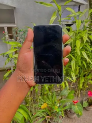 Apple iPhone 11 256GB (Used)